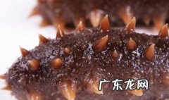发干海参的正确方法简单 发干海参的正确方法