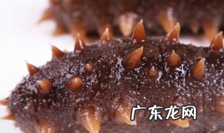 发干海参的正确方法简单 发干海参的正确方法