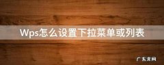 Wps怎么设置下拉菜单或列表 wps表格选择下拉菜单