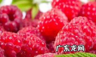 蓝莓树莓有什么功效 树莓有什么功效