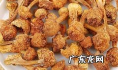 干松茸的做法和注意事项视频 干松茸的做法和注意事项