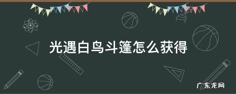 光遇白鸟斗篷怎么获得 光遇如何获得白鸟斗篷