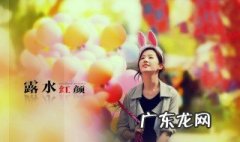 露水红颜结局刑露有没有死 露水红颜结局