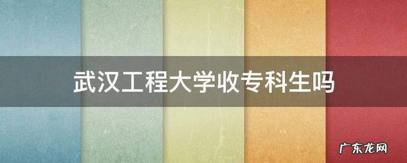 武汉工程大学收专科生吗 武汉工程学院招专科生吗