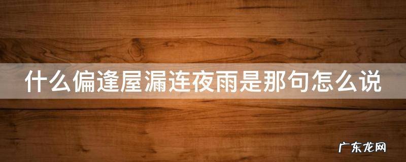 什么偏逢屋漏连夜雨是那句怎么说 偏逢屋漏偏逢连夜雨