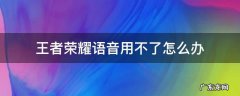 王者荣耀语音不好使怎么办 王者荣耀语音用不了怎么办