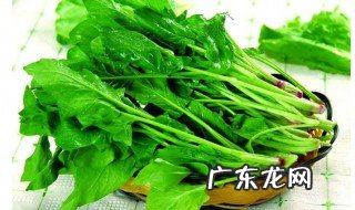 春季小孩子吃什么青菜 小孩吃哪些青菜好