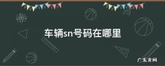 车辆sn号码在哪里 汽车sn号码在哪里