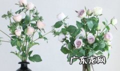 在家里摆放花瓶寓意什么 在家里放花瓶有什么寓意