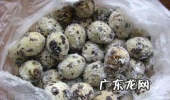 腌鹌鹑蛋的做法视频 腌鹌鹑蛋的家常做法