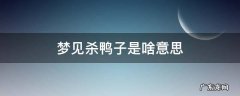 梦见杀鸭子是啥意思 梦见杀鸭子周公解梦