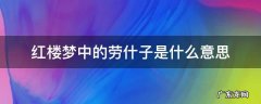 红楼梦里的劳什子是什么意思 红楼梦中的劳什子是什么意思