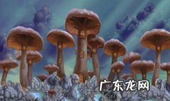 蘑菇怎么越种越多 蘑菇怎么长的多
