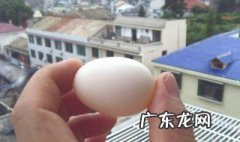 鸡蛋壳补钙可行吗视频 鸡蛋壳补钙可行吗