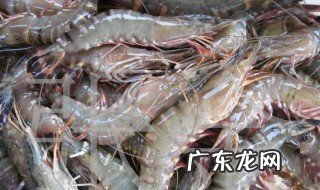 怎样养好草虾苗视频 怎样养好草虾
