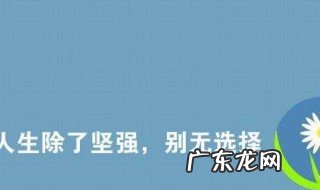 干净励志短句 干净励志短句十字