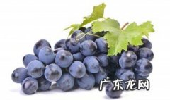 葡萄怎么洗干净 葡萄怎么洗会干净