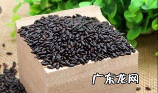 黑米和什么搭配好 黑米和什么搭配最佳