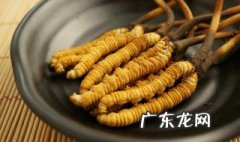 虫草和什么搭配好 虫草和什么搭配好喝