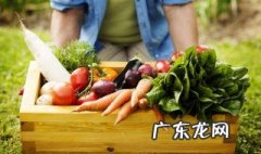 菠菜和什么搭配好 菠菜和什么搭配吃最有营养