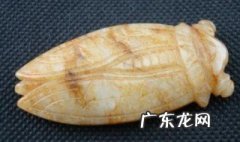 蝉和什么搭配寓意好 和蝉相克的食物