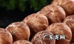 香菇和什么搭配好吃又营养 香菇和什么搭配好