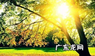 夏季晒太阳最佳时间是几月份 夏季晒太阳最佳时间