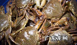 如何钓到螃蟹 如何钓到螃蟹