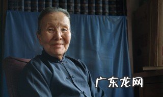 冰心问题小说的特点是什么 冰心问题小说的特点是