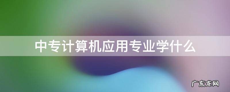 中专计算机技术应用学什么 中专计算机应用专业学什么