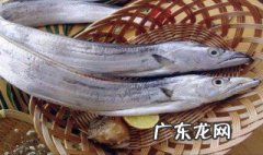 带鱼和什么不能一起吃 带鱼和什么不能一起吃,会吃坏肚子