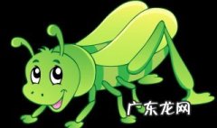 家中最简单蚂蚱腿方法 蚂蚱腿的制作方法