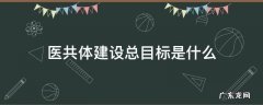 医共体建设主要内容 医共体建设总目标是什么