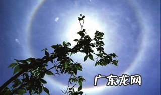 雨后天晴景象的句子 雨后天晴的景色描写