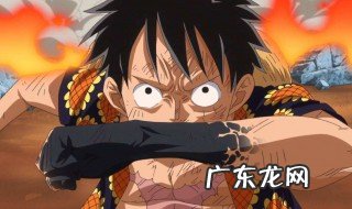 路飞生日为什么是5月5号呢 路飞生日为什么是5月5号