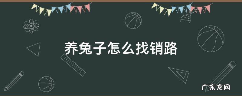 养兔子怎么找销路 养兔子怎么找销路恐怖游戏
