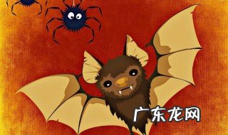 家里来蝙蝠预示着什么征兆 家里来蝙蝠预示着什么