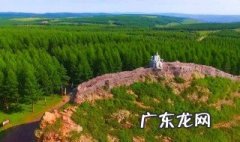 塞罕坝主要常见树种 塞罕坝主要的树种