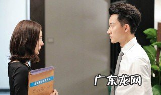 亲爱的翻译官剧情介绍 亲爱的翻译官剧情介绍电视猫