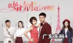 将婚姻进行到底剧情介绍 将婚姻进行到底剧情介绍林伟