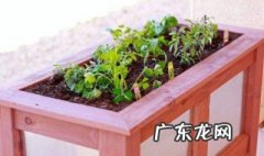 花盆烂了放在家里破家里的风水吗 家里经常摆放烂花盆有不好吗