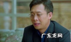 鸡毛飞上天剧情介绍大结局 鸡毛飞上天剧情介绍