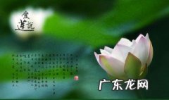 出於泥而不染濯清涟而不妖的意思 出淤泥而不染濯清涟而不妖译文