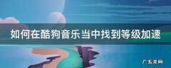 如何在酷狗音乐当中找到等级加速歌曲 如何在酷狗音乐当中找到等级加速