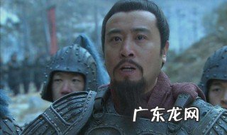 凤雏是谁 凤雏是谁演的
