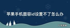 苹果手机面容id设置不了是怎么回事 苹果手机面容id设置不了怎么办