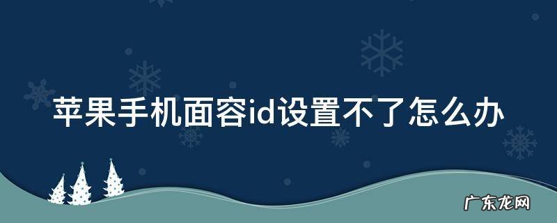 苹果手机面容id设置不了是怎么回事 苹果手机面容id设置不了怎么办