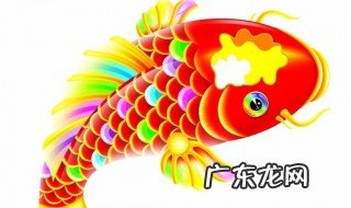 小黄面配什么饵料钓鲤鱼好 小黄面配什么饵料钓鲤鱼