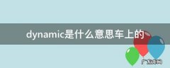 dynamic是什么意思车上的 dynamic在车上是什么意思