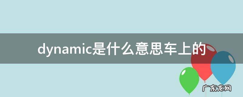 dynamic是什么意思车上的 dynamic在车上是什么意思